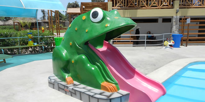 Juego De Sapo