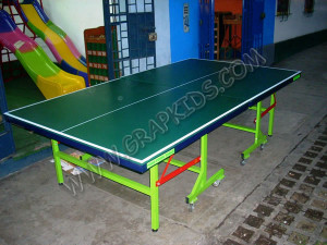 Mesa de Ping Pong exportacion